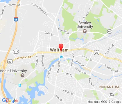 logo-image - waltham-ma